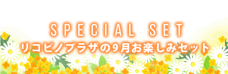 2023年9月の期間限定セットはこちらよりご覧ください。