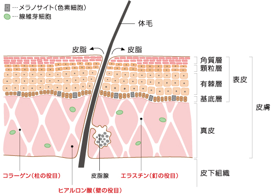 ターンオーバー01